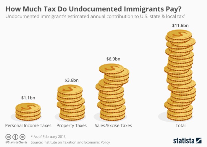 Undocumented immigrants do not pay any taxes whatsoever